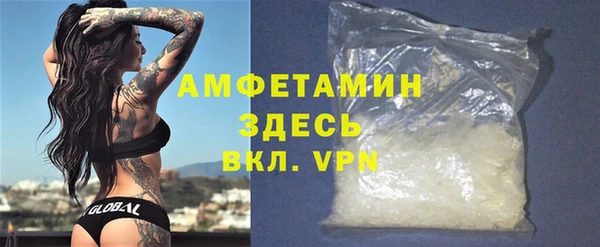 индика Аркадак