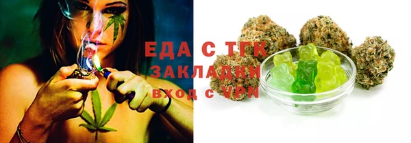 индика Аркадак