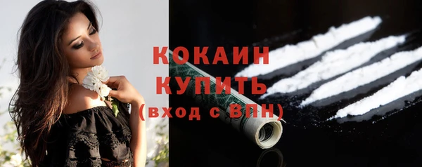 индика Аркадак