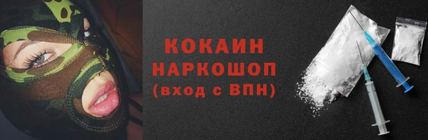 индика Аркадак