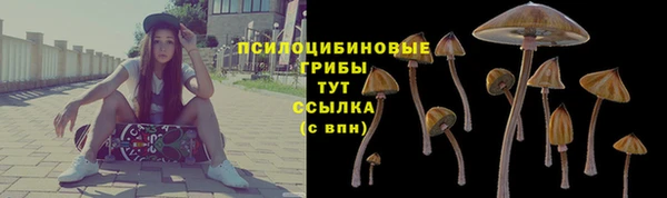 бутират Арсеньев