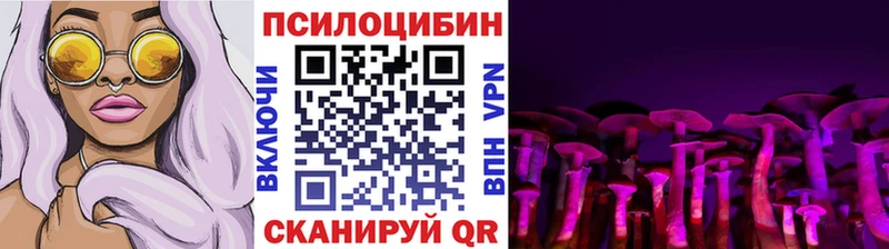 Галлюциногенные грибы Psilocybine cubensis Рыльск
